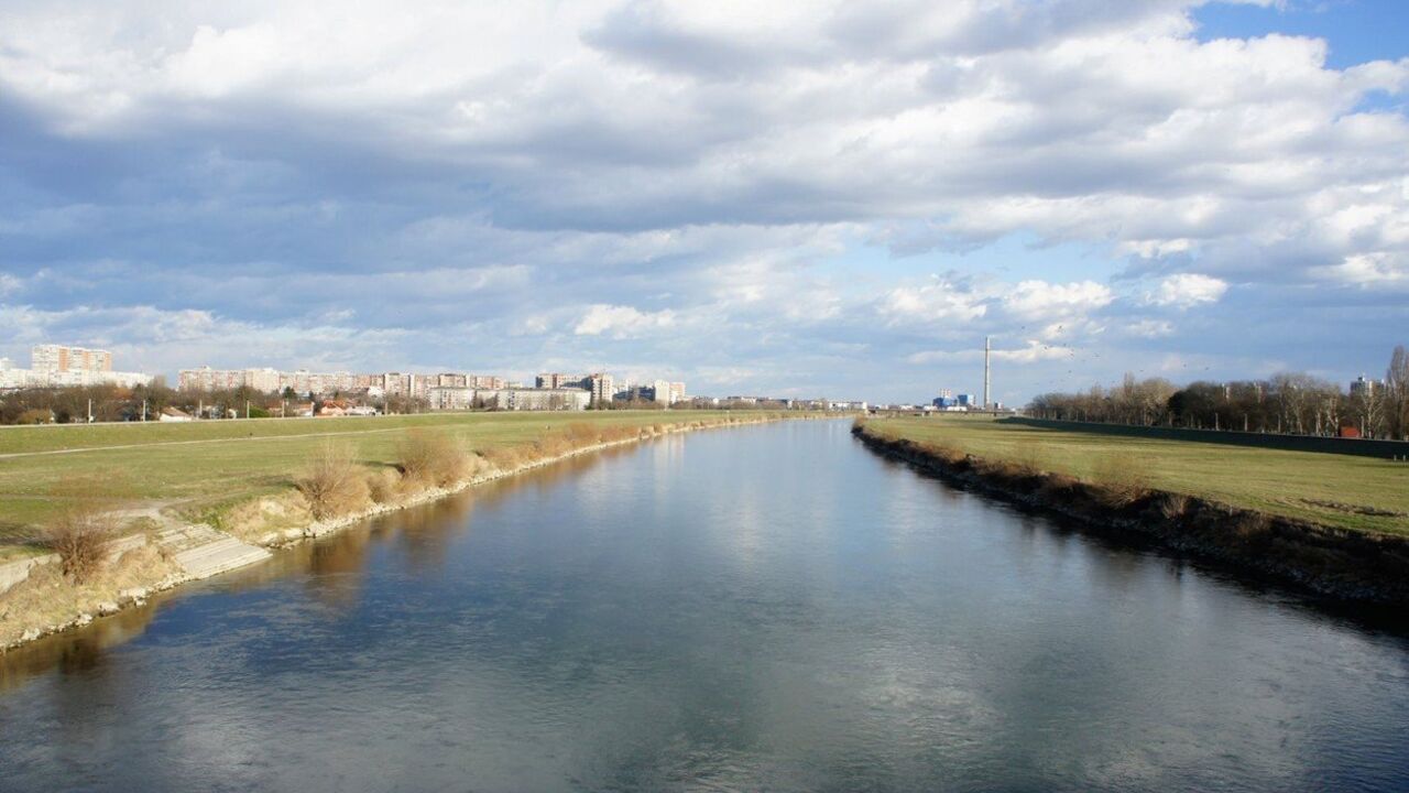 sava
