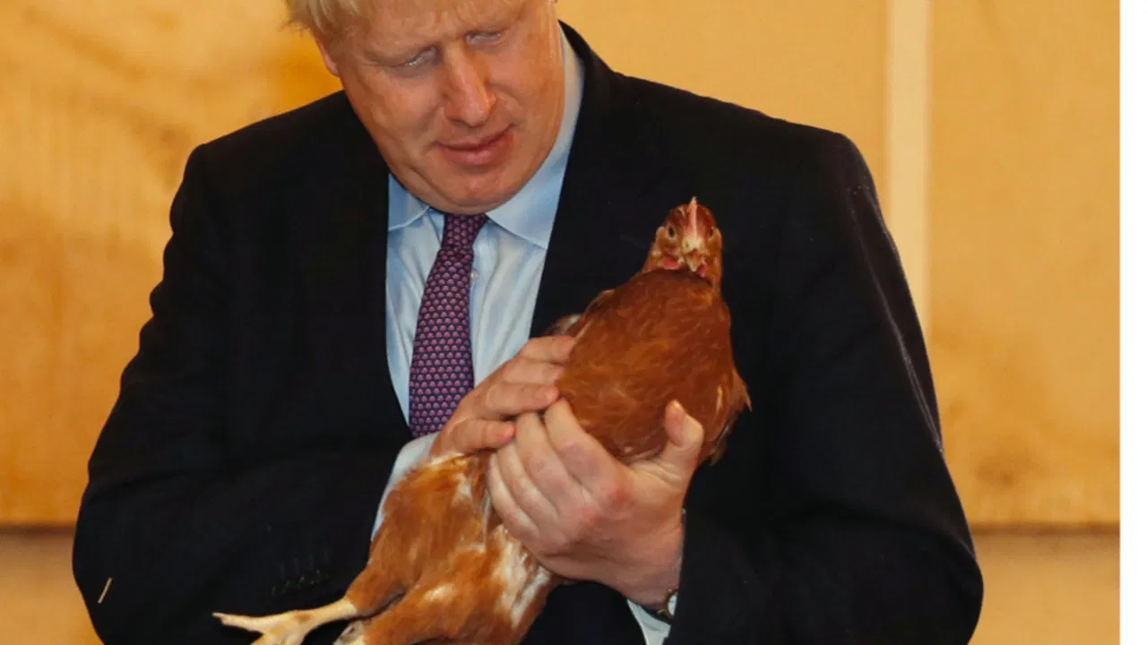 Boris Dzonson i kokoska