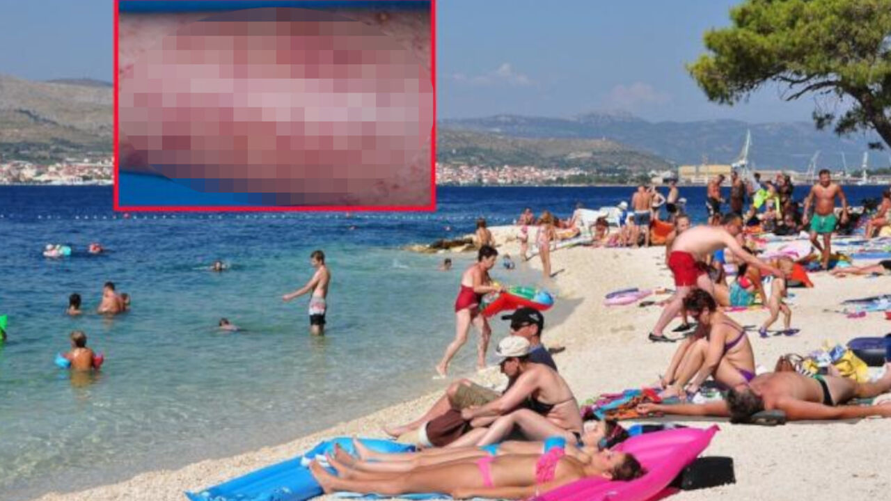 Hrvatska 