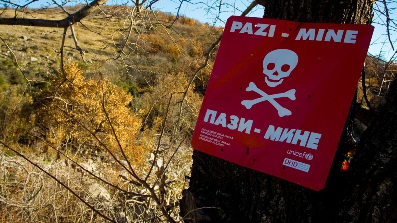 Minsko polje
