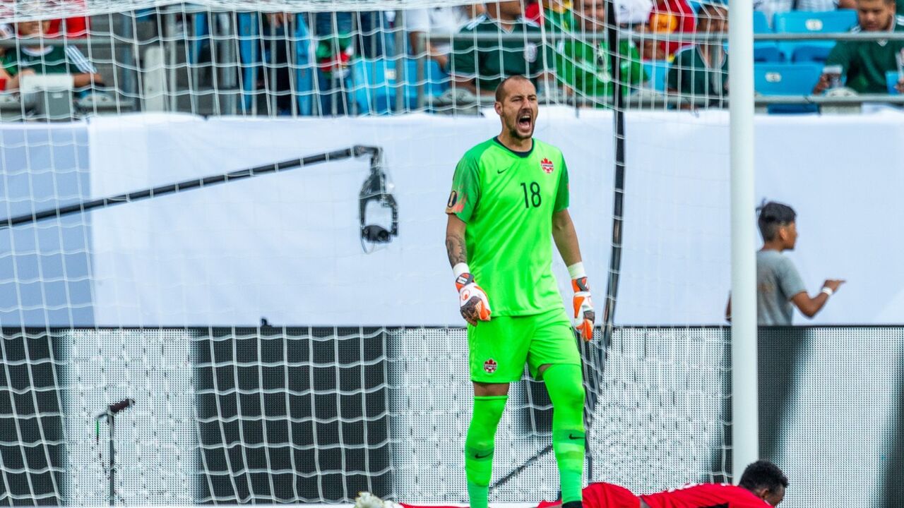 Milan Borjan