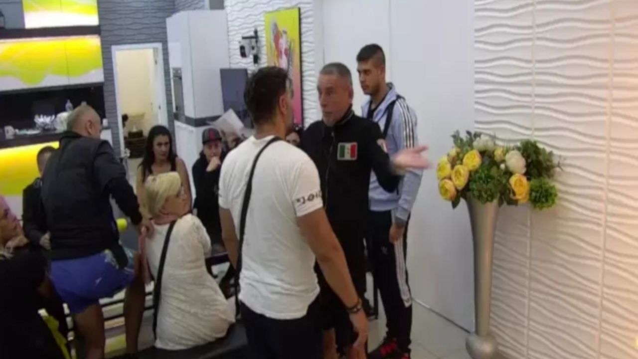 Lepi Mića