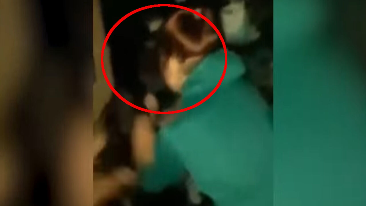 Vršnjačko nasilje