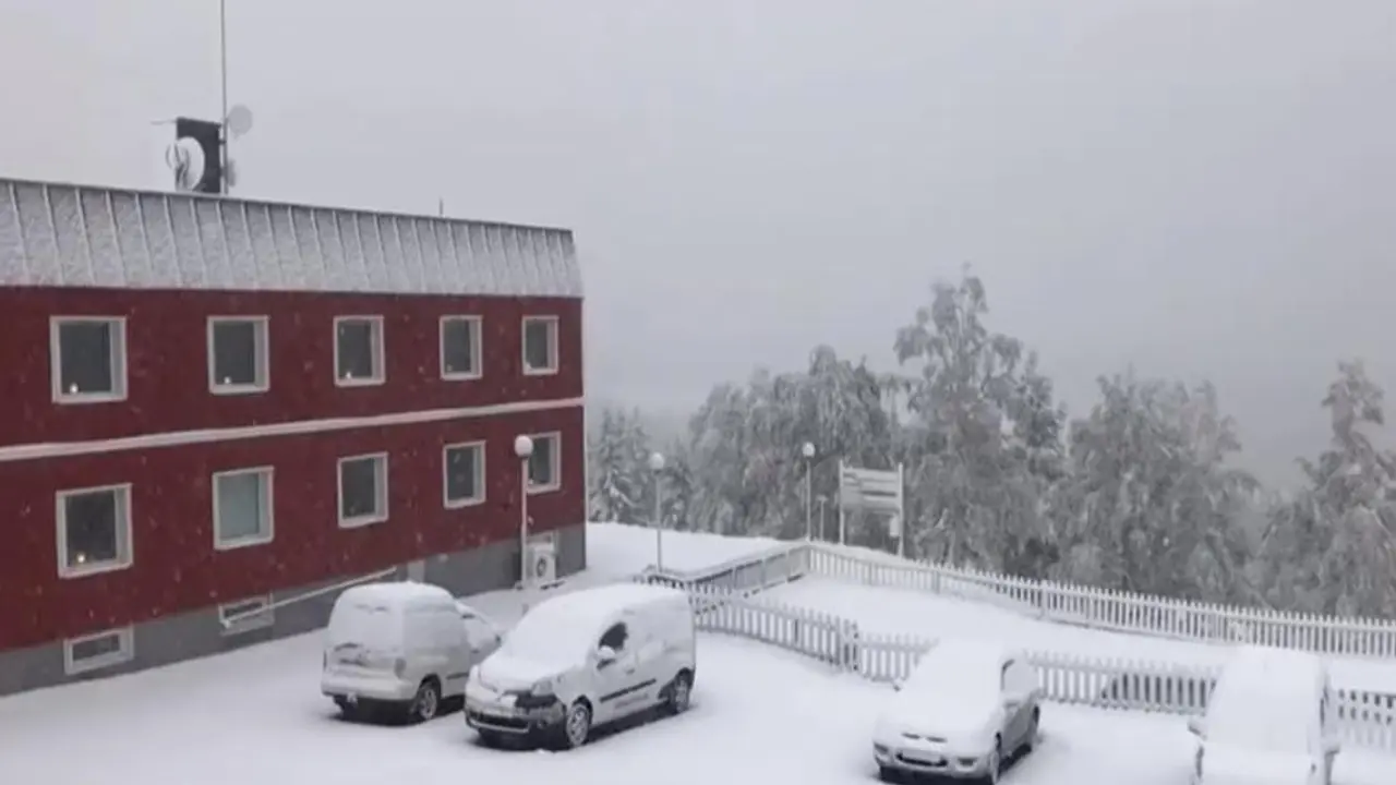 Prvi sneg