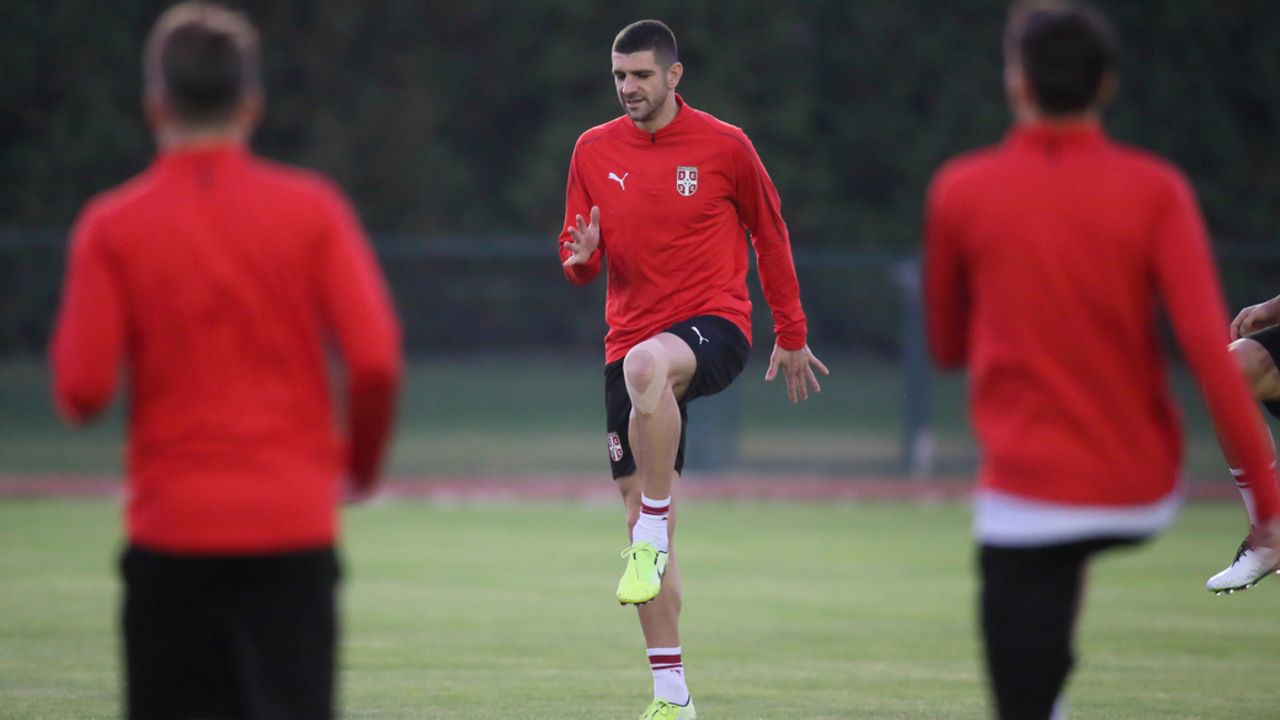 Stefan Mitrović