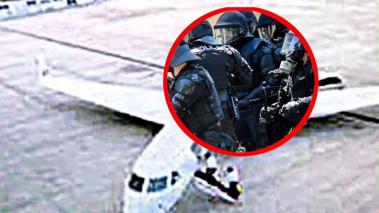 švajcarska policija