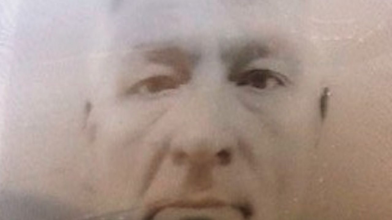 Predrag Peca Milojević