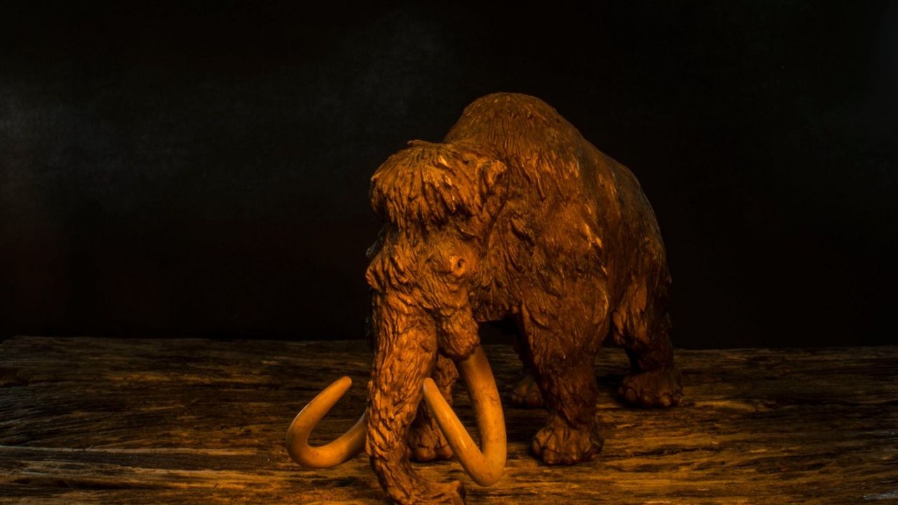 mamut
