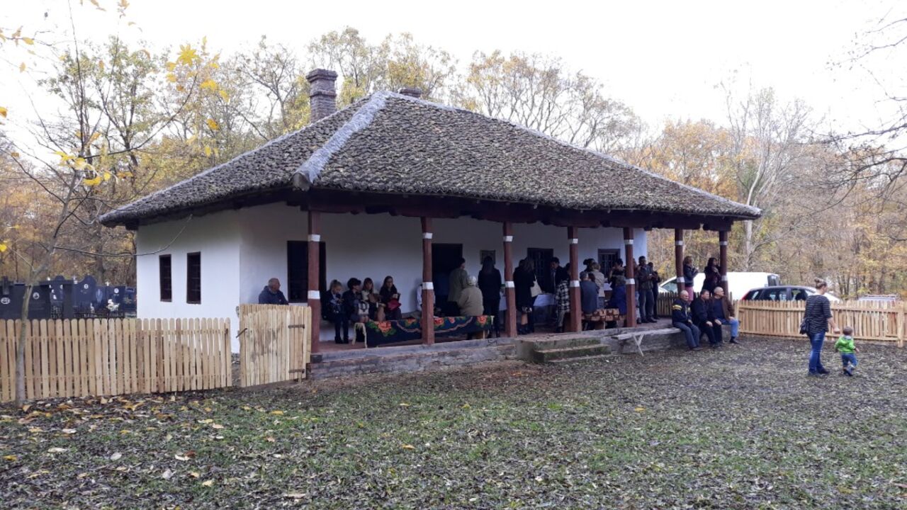 škola