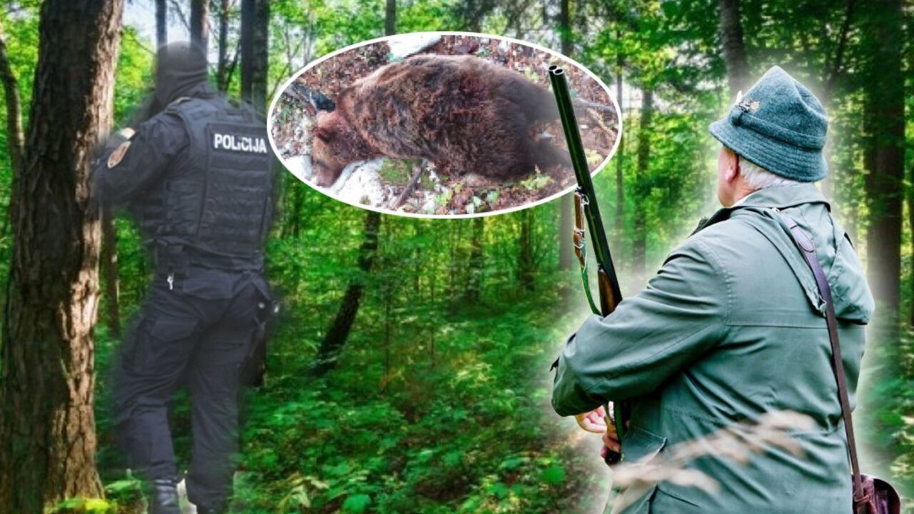 Inspektor u lovu na medveda