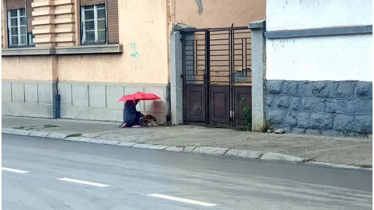Zaječar