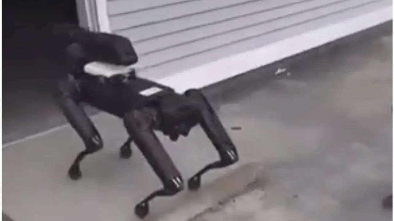 Robot