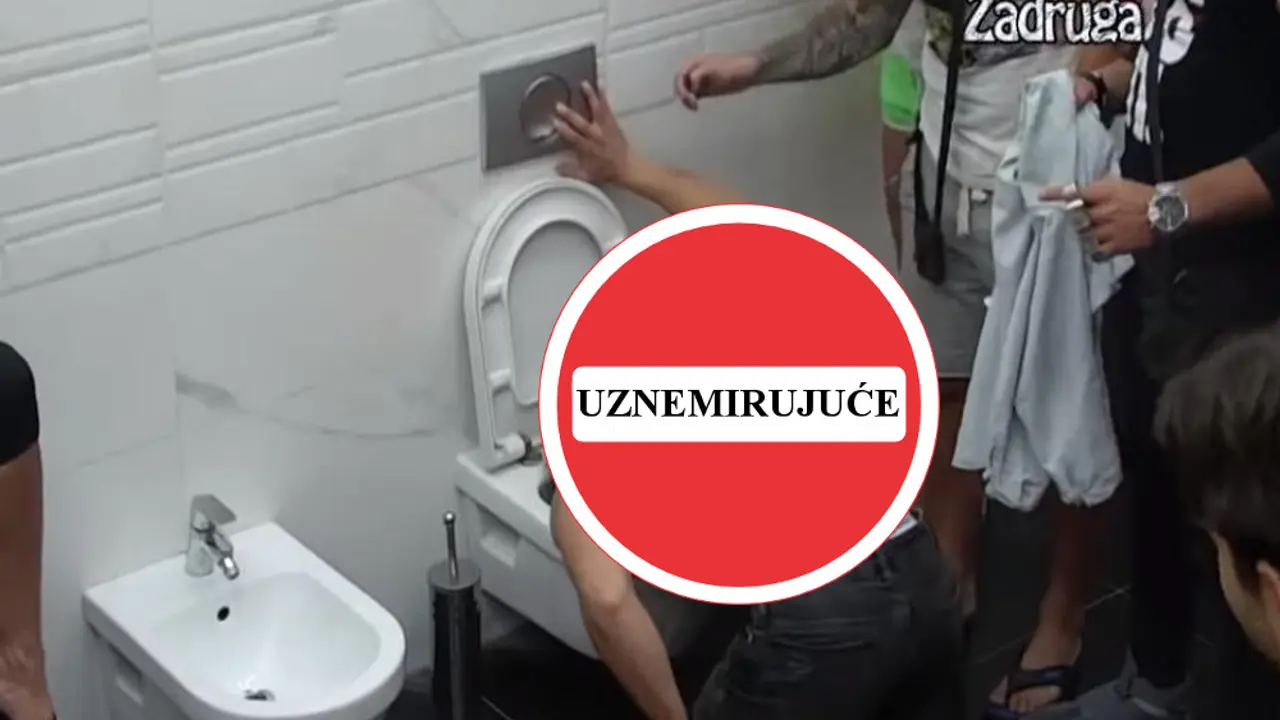 Zadruga