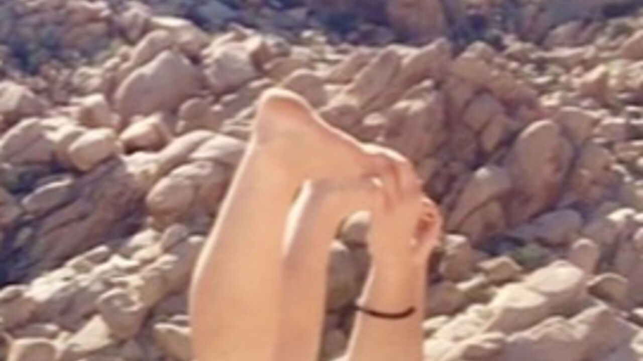 Noge