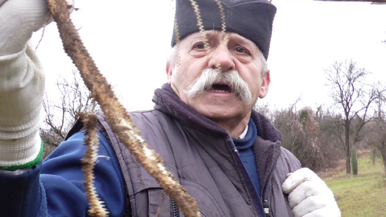 Mirko Milinković
