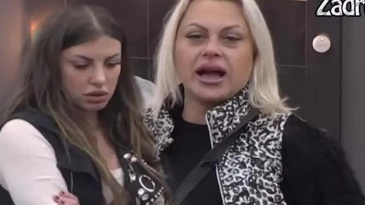 zadruga