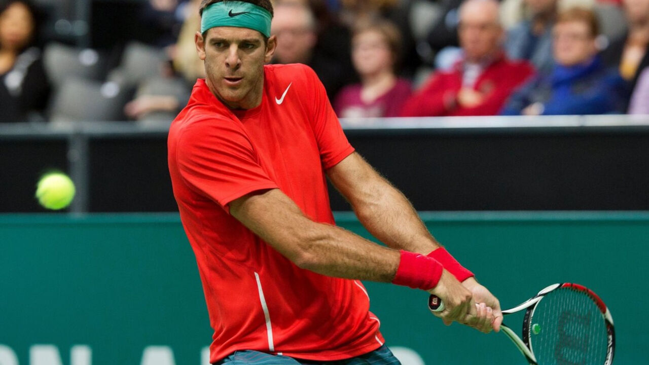 Huan Martin del Potro