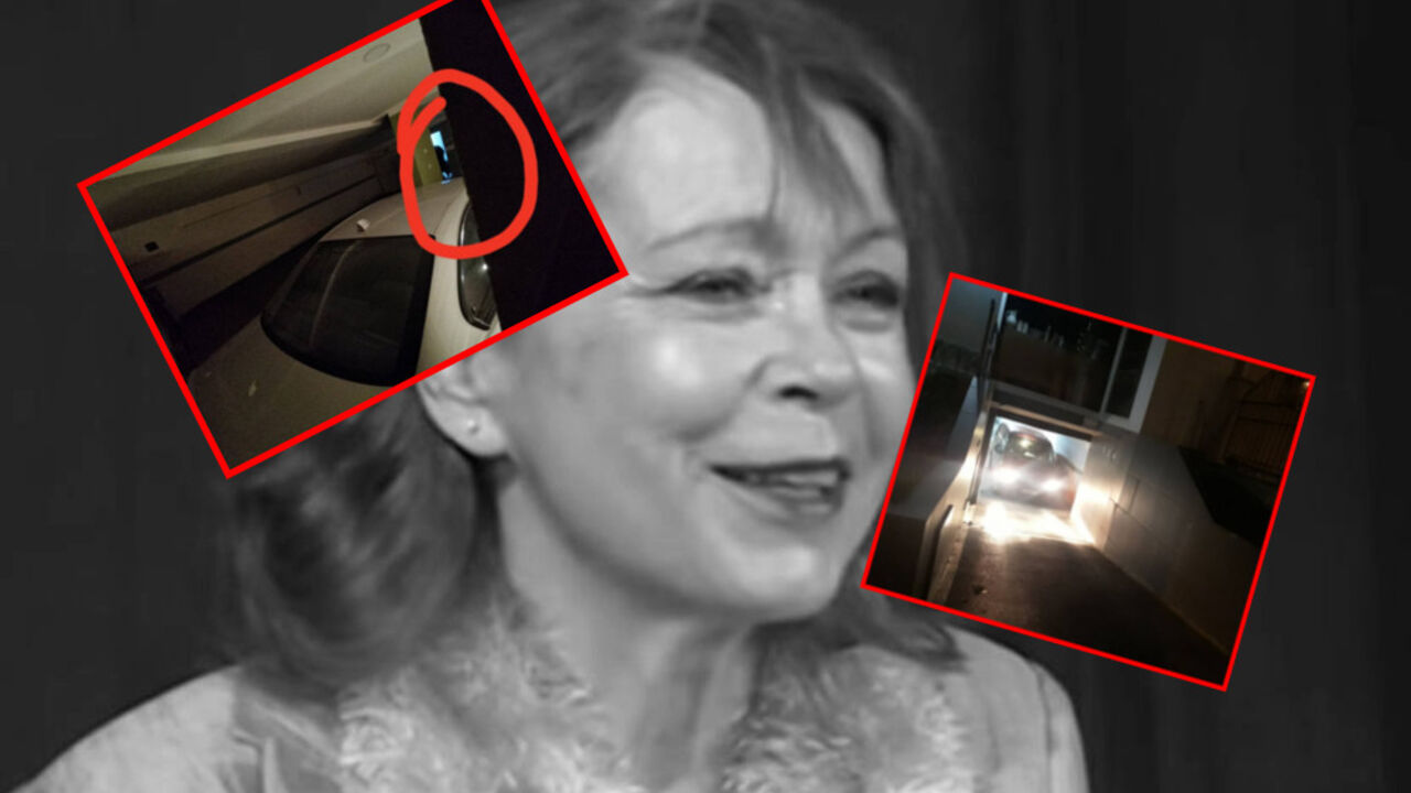 Neda Arnerić