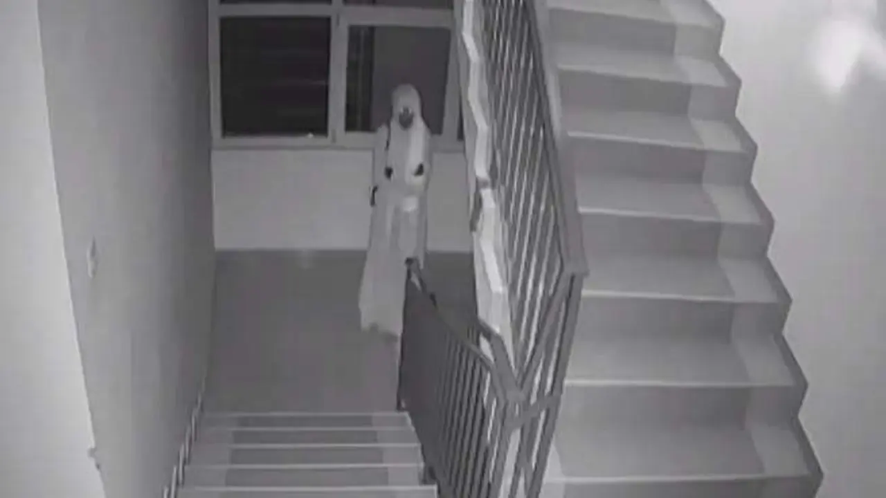 misteriozna žena