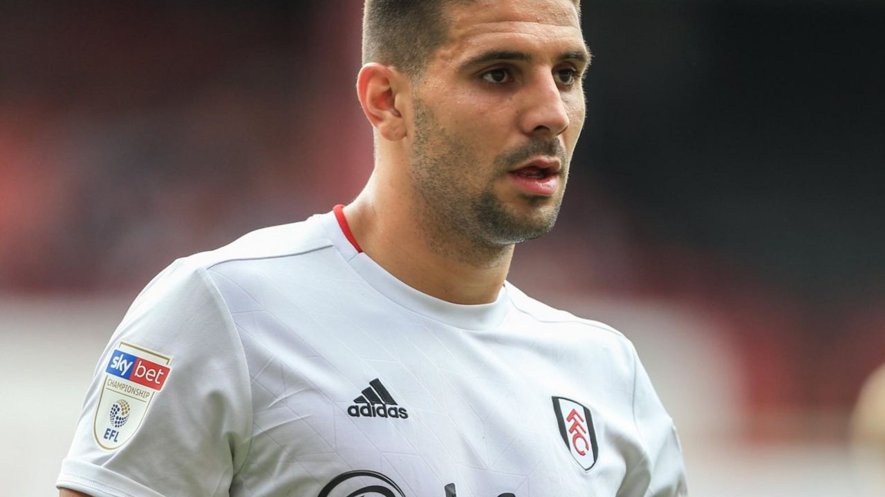 Aleksandar Mitrović