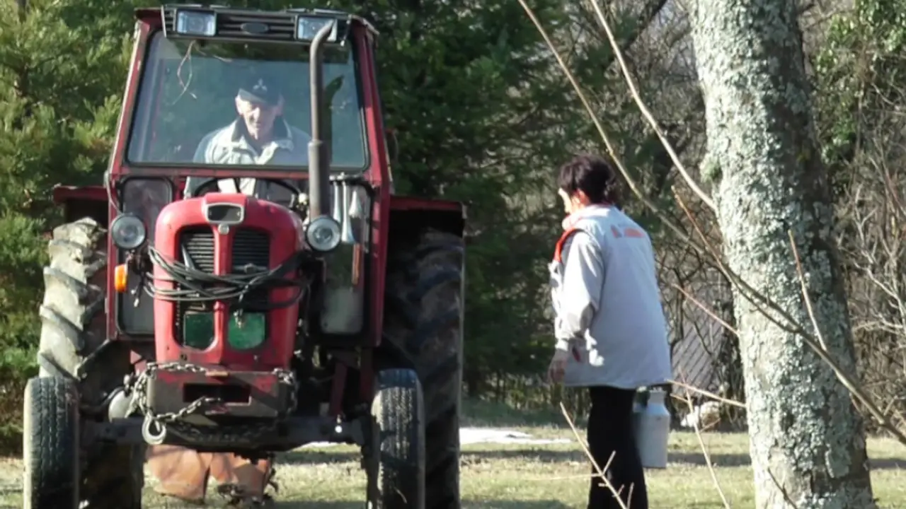 traktor