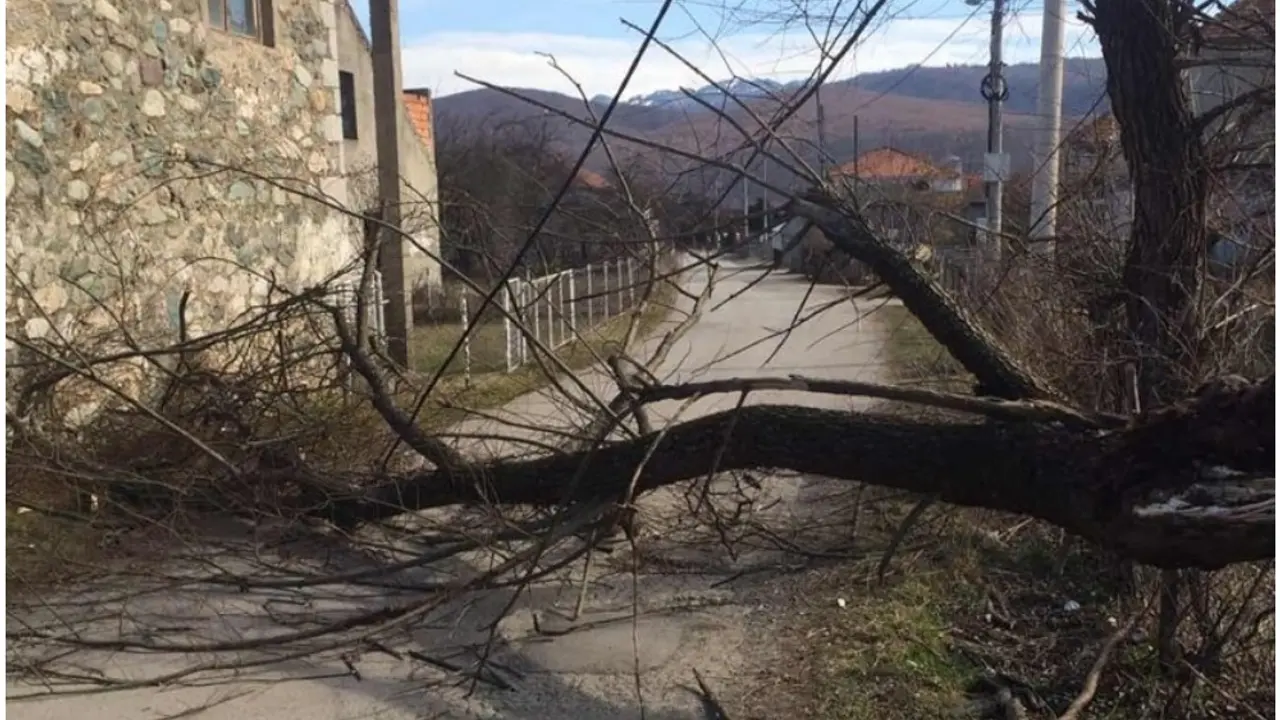 berane