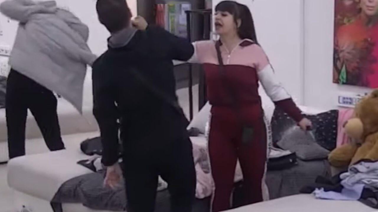 zadruga