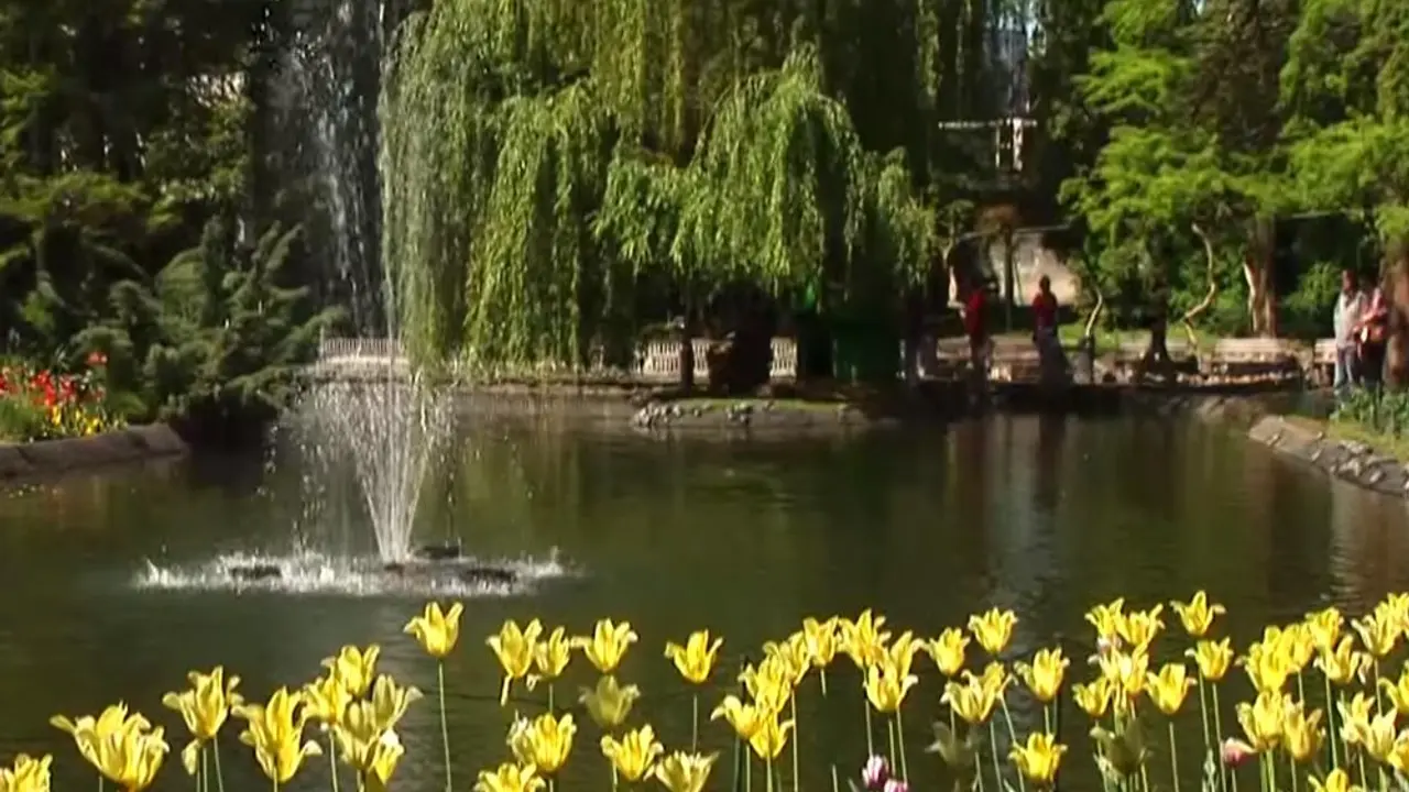 Dunavski park, Novi Sad