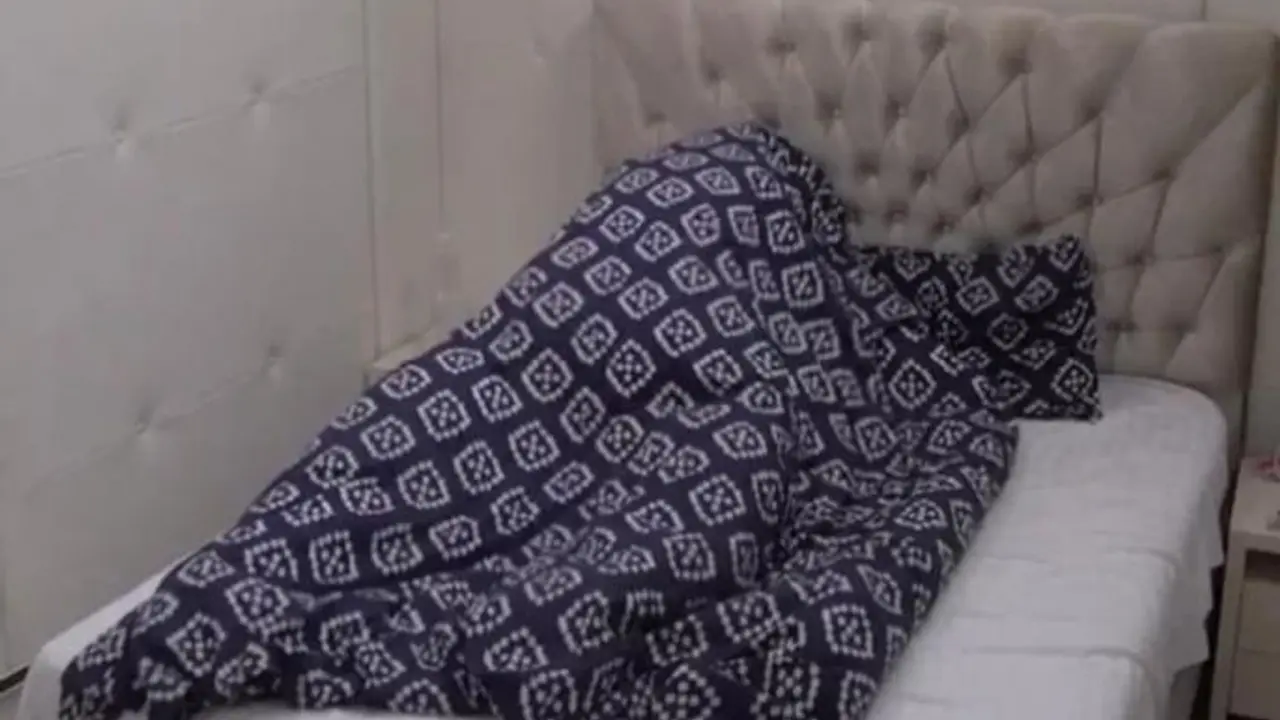 zadruga