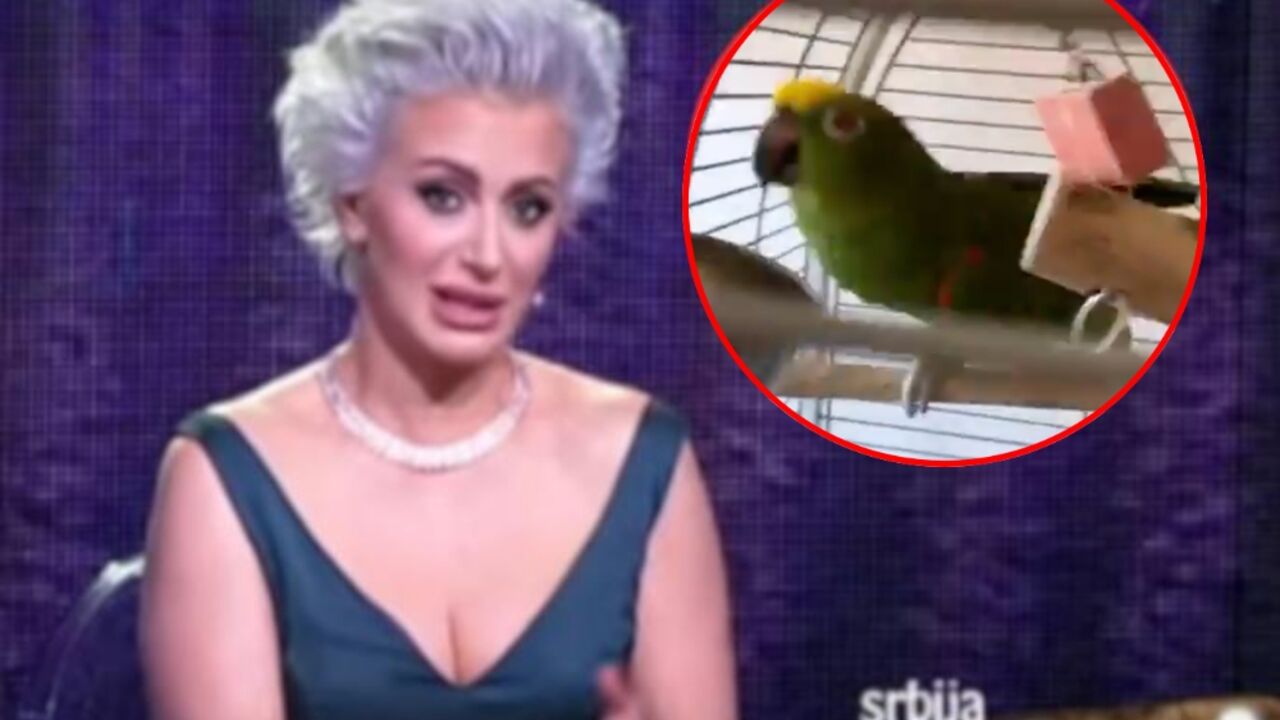 Dušica Jakovljević