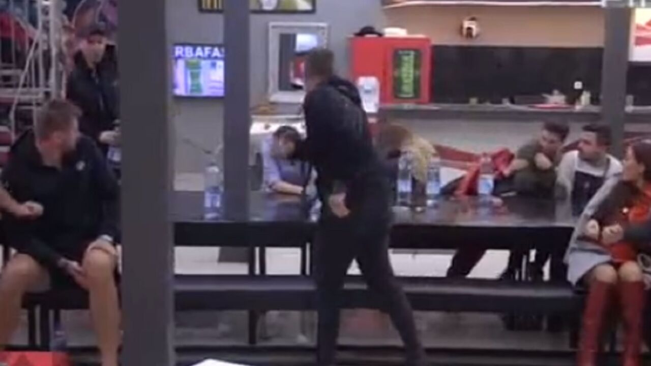 Zadruga 