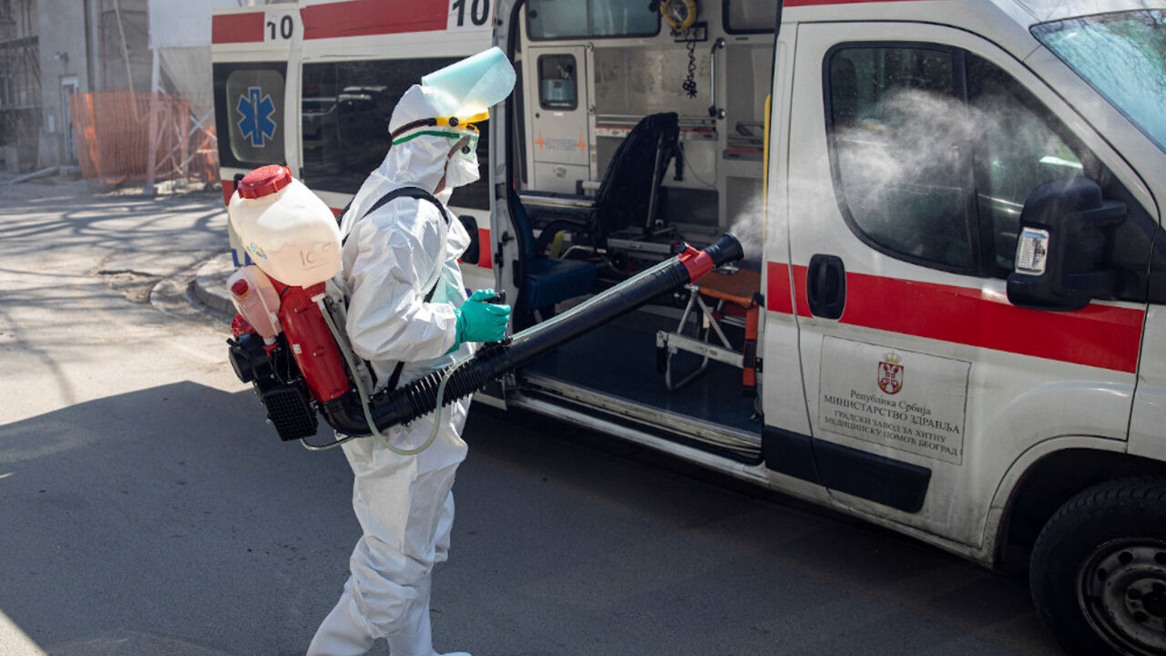 korona virus