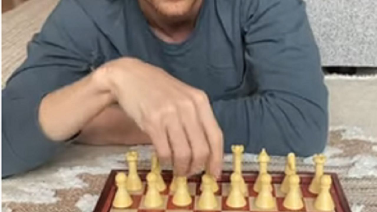 Šahista