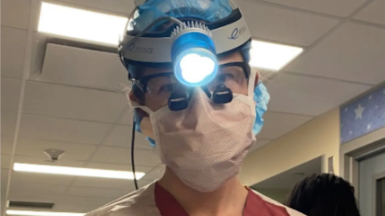 korona virus