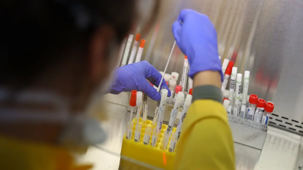 Korona virus