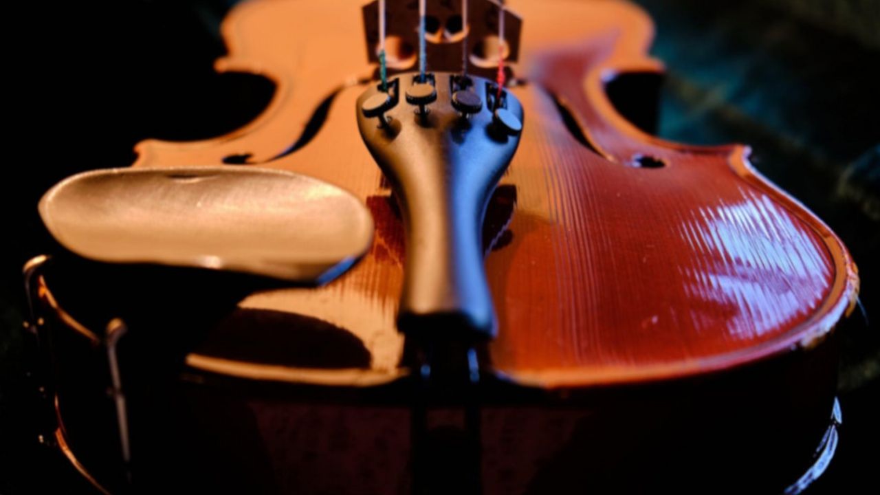 Violina