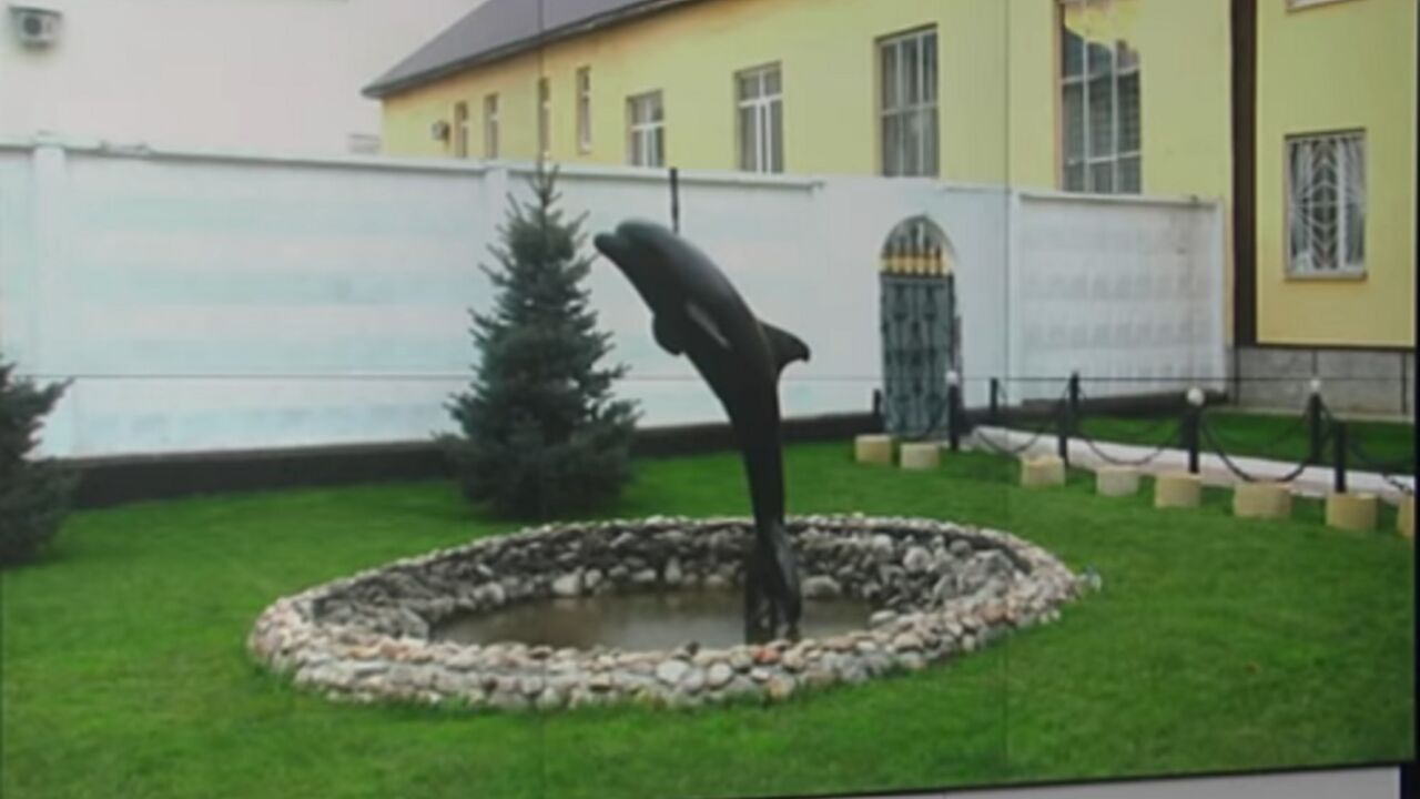 Zatvor crni delfin