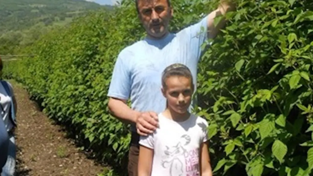 Dragan Staletović u svom malinjaku