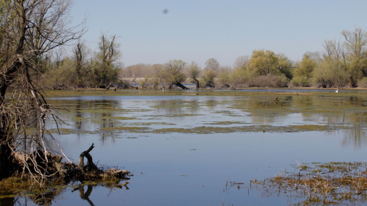 Jezero Provala