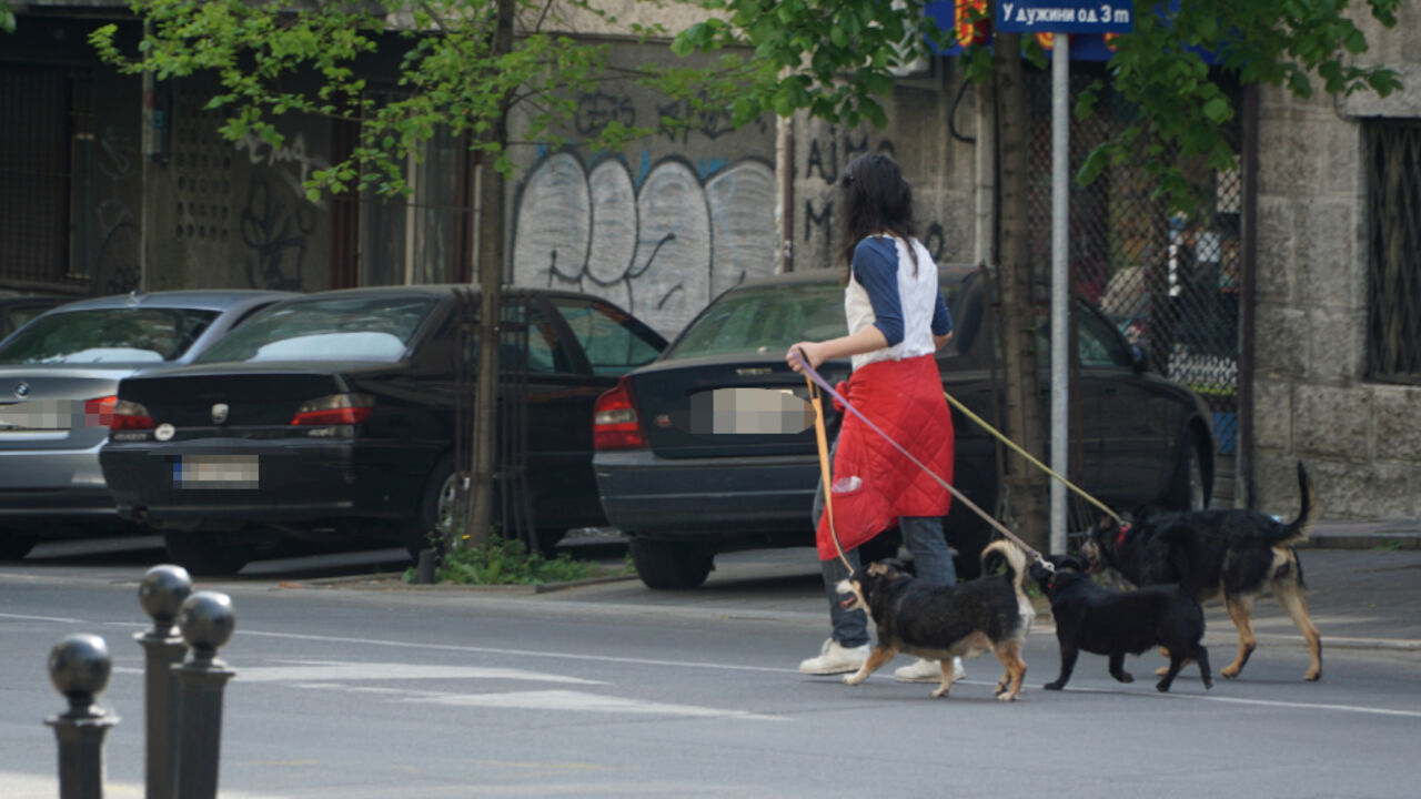 Beograd