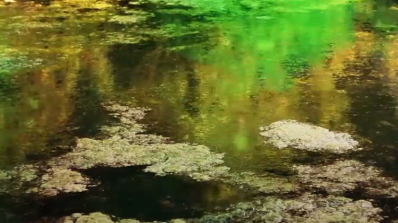 Jezero