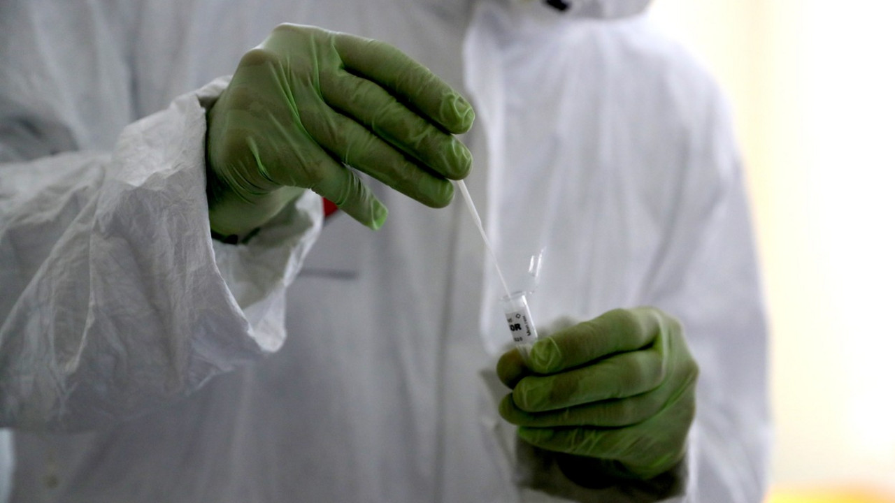 korona virus