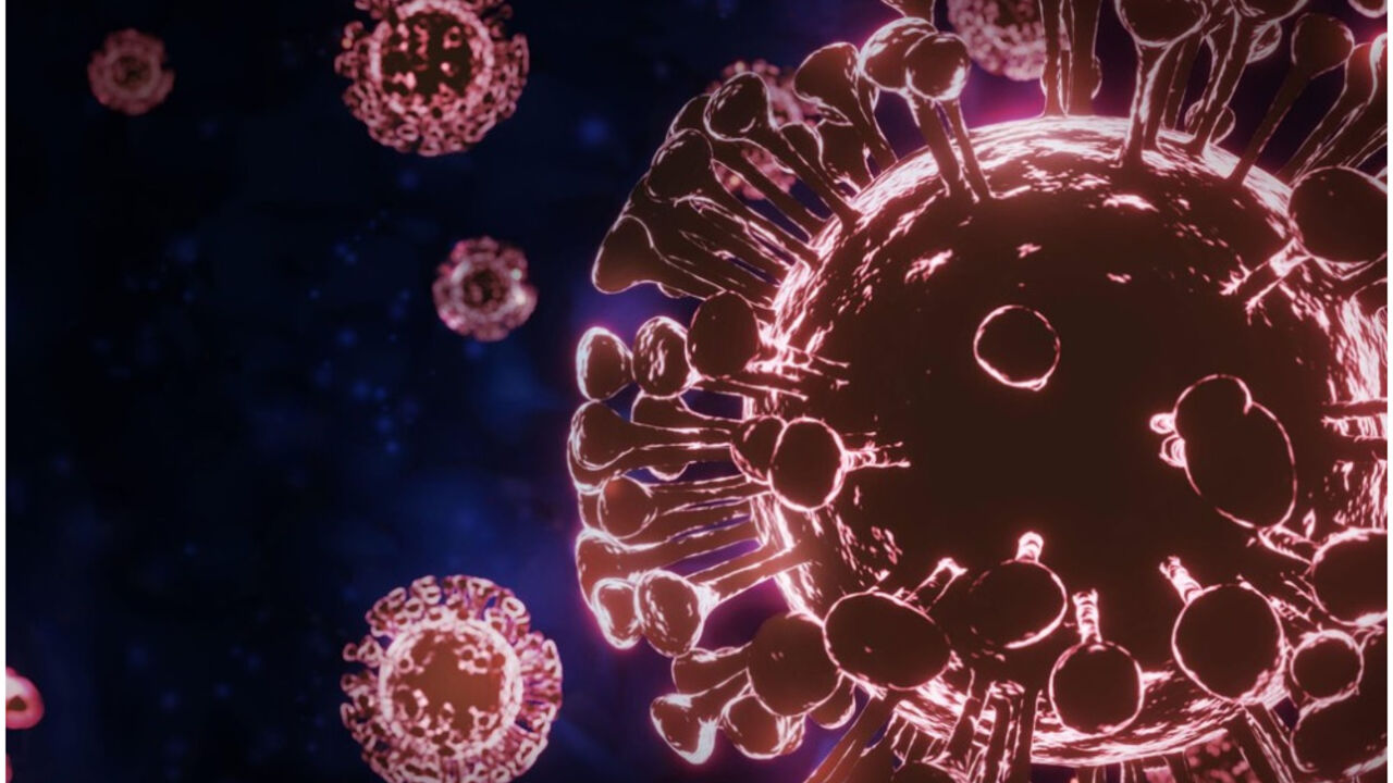 korona virus