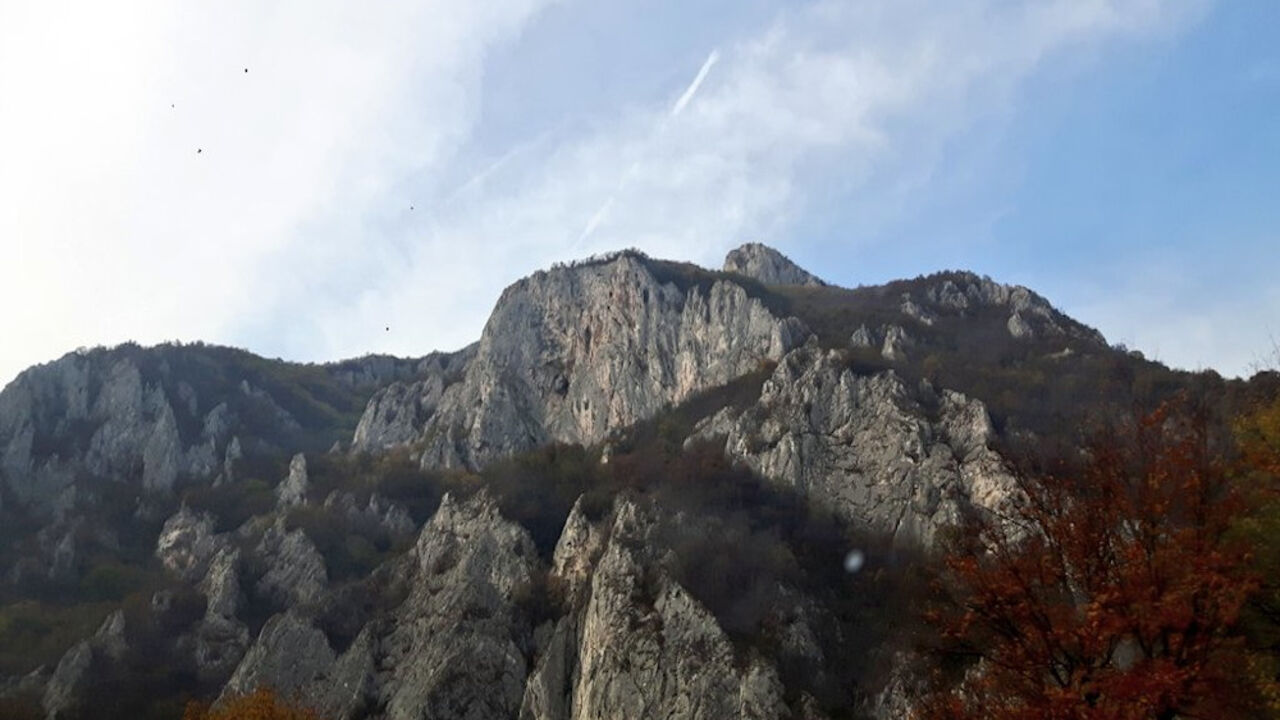 Ovčarsko-kablarska klisura