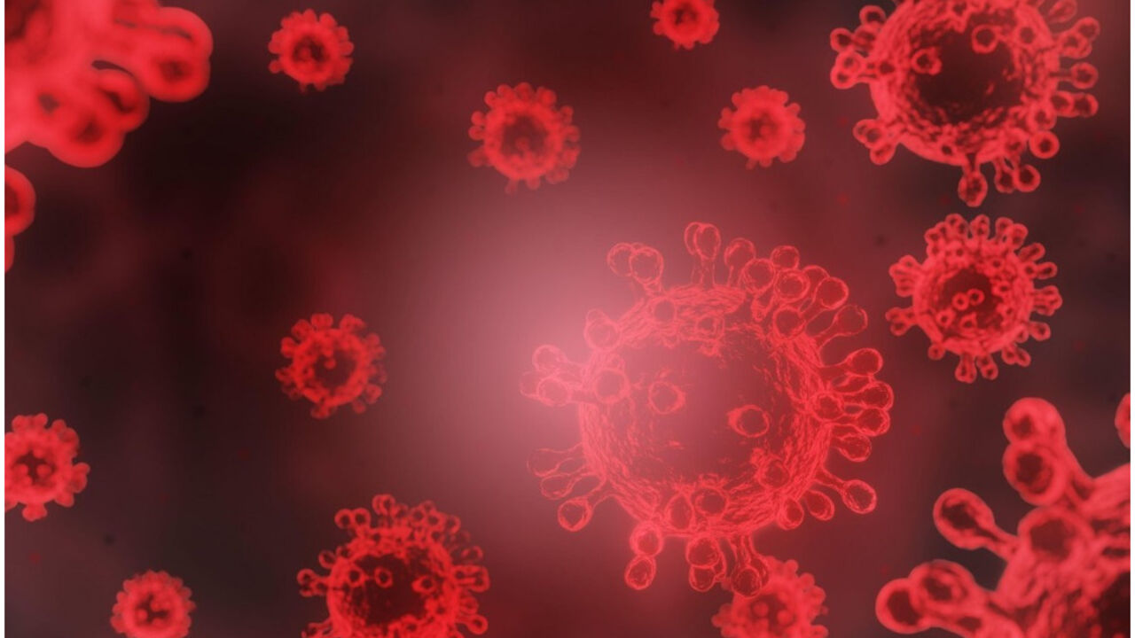 korona virus