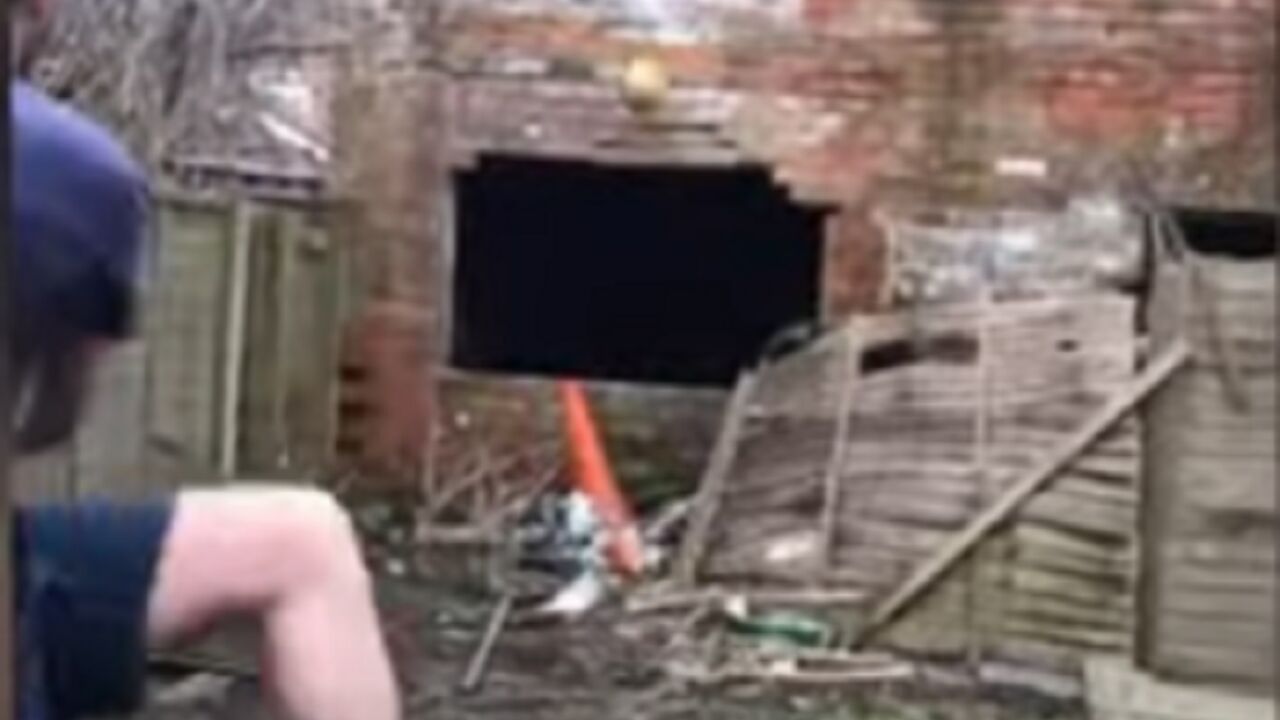 Šut