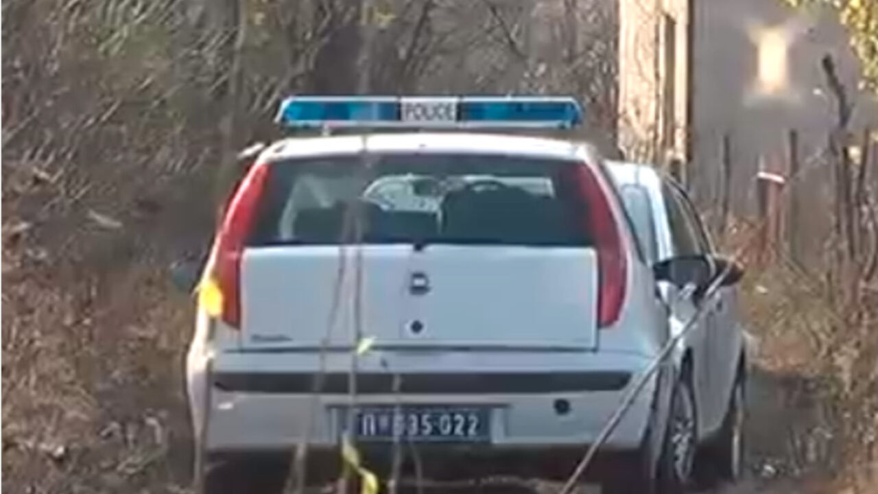 Ubistvo Igora Ilica