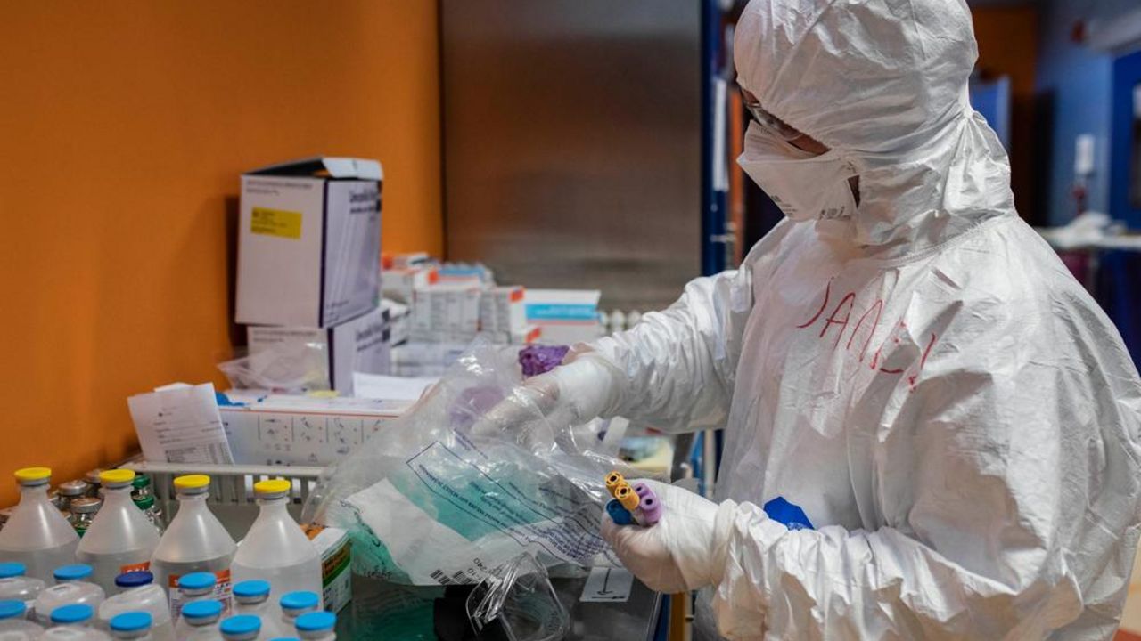 korona virus