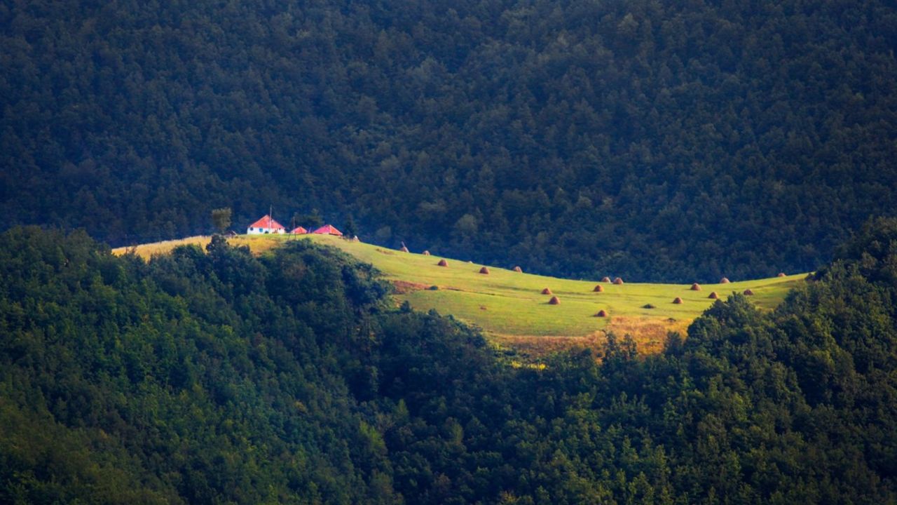Golija