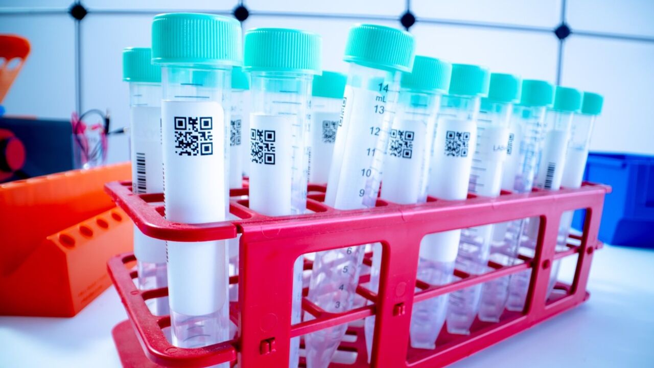Laboratorija
